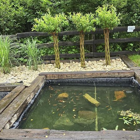 Vip Village Las Woda Rower - Podgrzewany Basen, Balia, Sauna Miedzierza Exteriér fotografie
